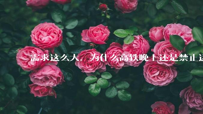需求这么大，为什么高铁晚上还是禁止运行?