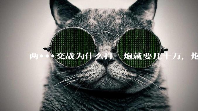 两***交战为什么打一炮就要几十万，炮弹都很值钱吗？