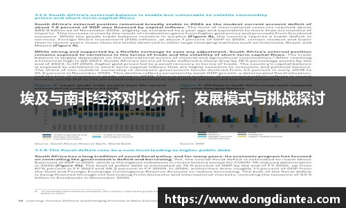 埃及与南非经济对比分析：发展模式与挑战探讨