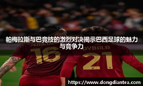 帕梅拉斯与巴竞技的激烈对决揭示巴西足球的魅力与竞争力