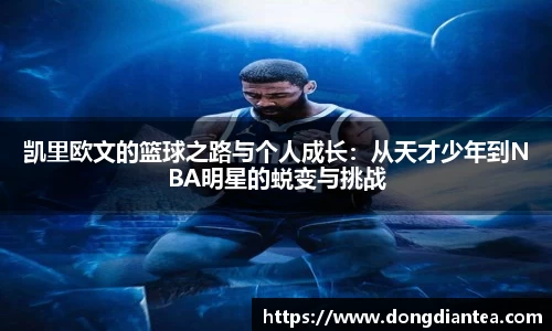 球王会体育官网