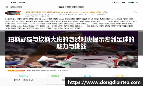 球王会体育