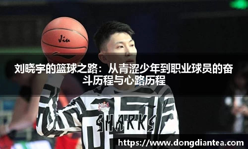 球王会体育官网