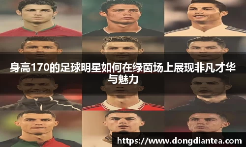 身高170的足球明星如何在绿茵场上展现非凡才华与魅力