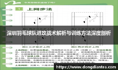 深圳羽毛球队进攻战术解析与训练方法深度剖析
