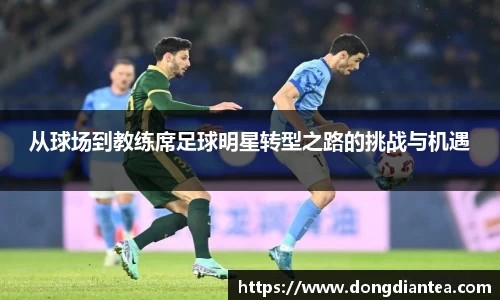 从球场到教练席足球明星转型之路的挑战与机遇